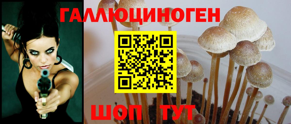 Псилоцибиновые грибы мицелий Баксан