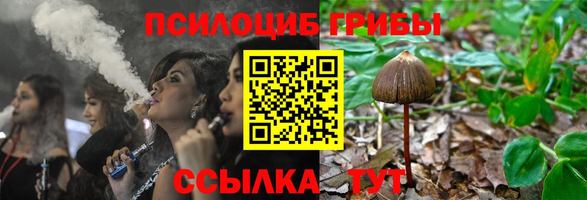 Псилоцибиновые грибы Psilocybine cubensis  Вход с VPN  Псилоцибиновые грибы прущие грибы  закладки  Баксан 
